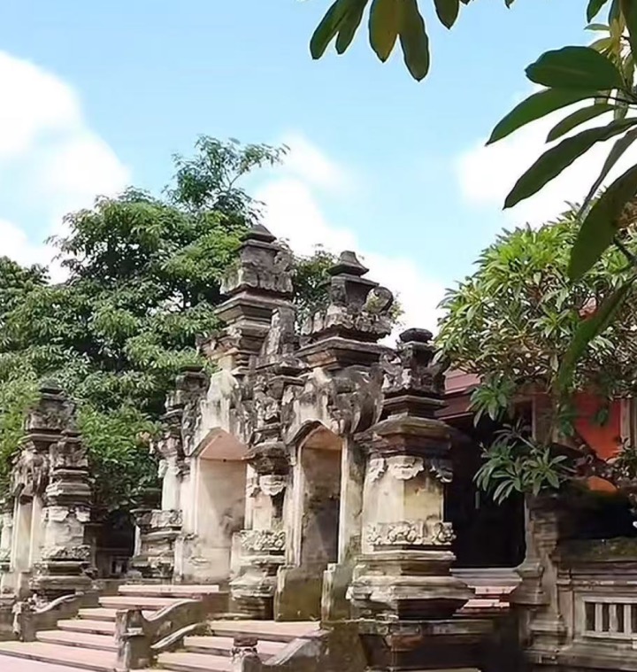 苏利亚大学